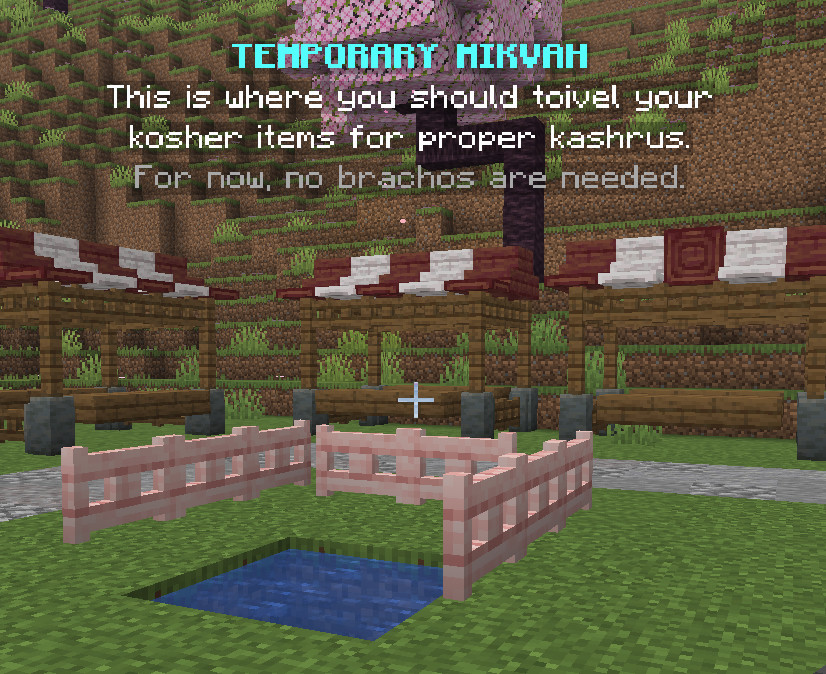 The mikveh at YidCraft spawn